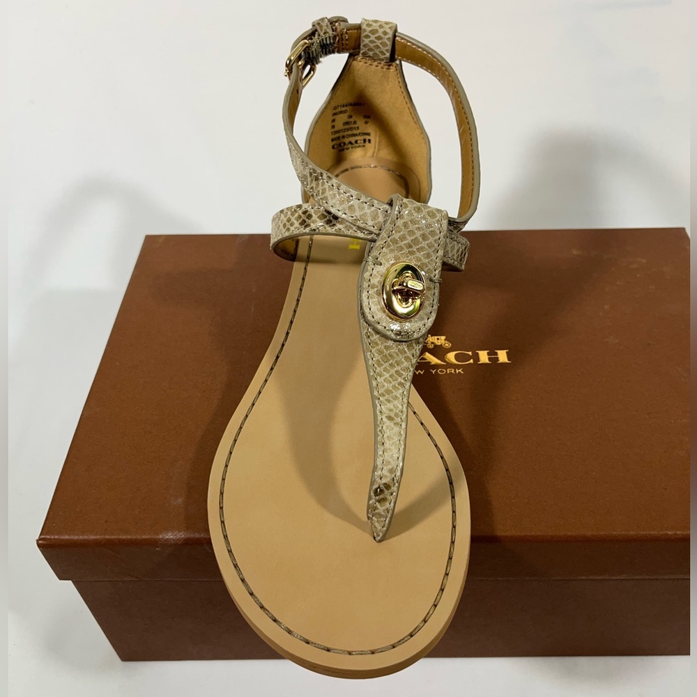 Coach Women's Beige Snakeskin Sandals‎ NEW